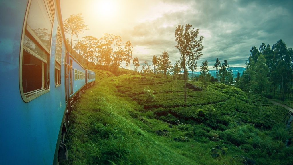 Viaja Sri Lanka